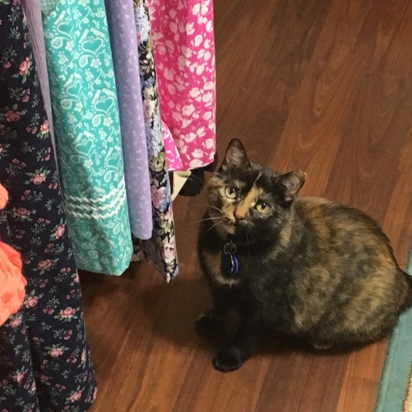 Meet Your Posher! - Picture 4 of 5